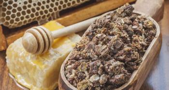 Propolisin Faydaları Nelerdir?