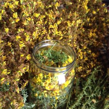 Sigarayı bırakmak için kantaron tedavisi yararlı olabilir mi?