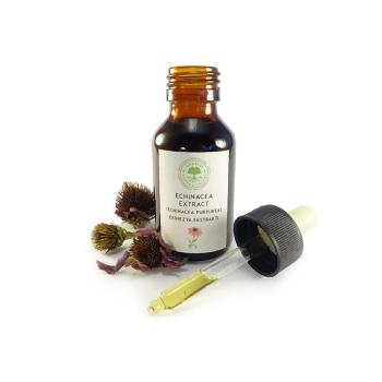 Ekinezya ürünleri soğuk algınlığı tedavisinde etkisiz mi? 