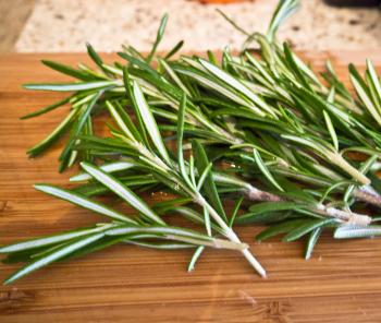 Biberiye hızlı düşünme yeteneğini geliştiriyor