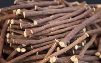 Meyan kökü zekayı azaltır mı? Yanlış alarm!