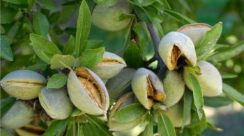Acıbadem zehirlenmesi öldürebilir