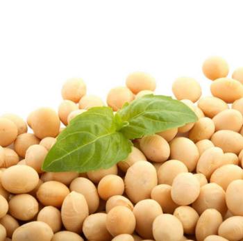 Prostat kanseri tedavisinde soya izoflavonları radyasyon tedavisinin etkinliğini artırıyor 