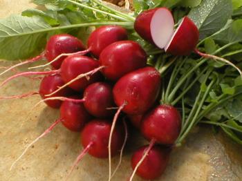 Turp tohumu iltihaplı bağırsak hastalıklarında yararlı olabiliyor 