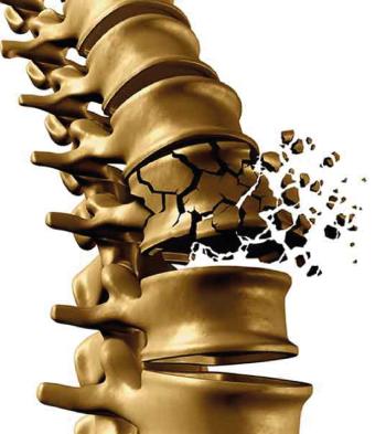 Soya fasulyesi izoflavonları kemik erimesine karşı koruyucu rol oynuyor  